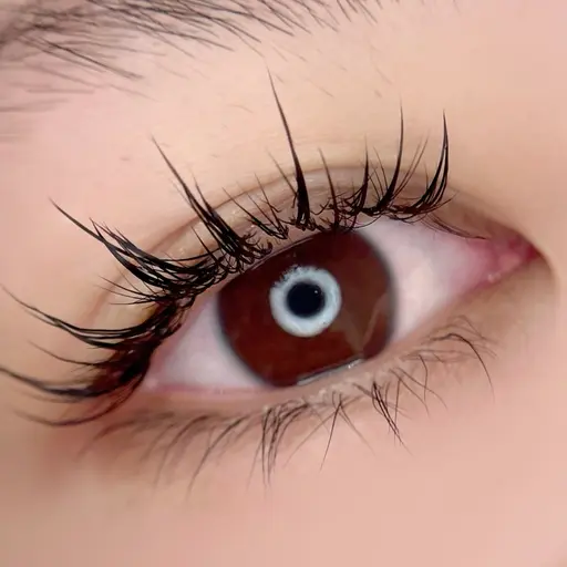 ワンホン撮影モデル