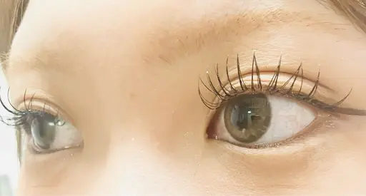 ダブルフラットラッシュ60束モニターモデル