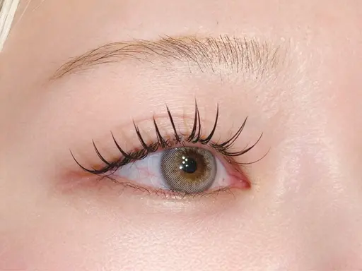 NEWOpen記念★LEDフラットラッシュ120本