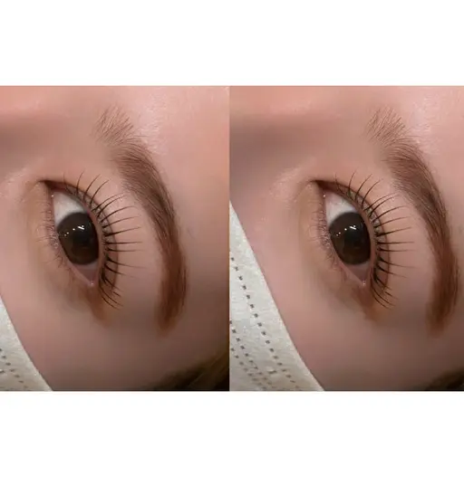 《🎶ྀི当日限定🎶ྀི》まつげパーマ　2200円🫧