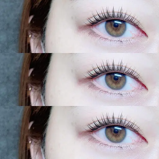 🎀12月限定🪄✧₊《 パリジェンヌラッシュリフト➕トリートメント 》