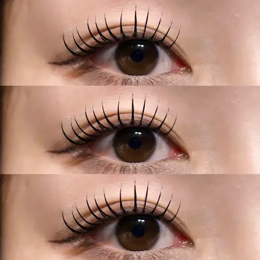 《12月限定パリエクメニュー🎅🏻.⋆𝜗𝜚》パリジェンヌ+フラットラッシュ120本