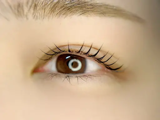 【韓国風】まつげパーマ/ラッシュリフト