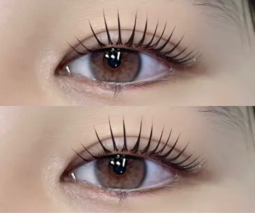 【ミニモ学割】まつ毛パーマ×コーティング仕上げ🪄