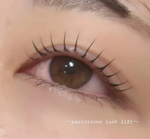 【初回】パリジェンヌラッシュリフト【minimo限定】