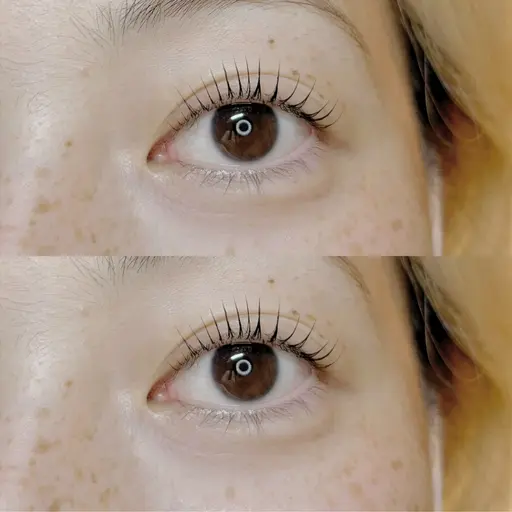 新規様限定価格！まつげパーマ/パリジェンヌラッシュ🌸