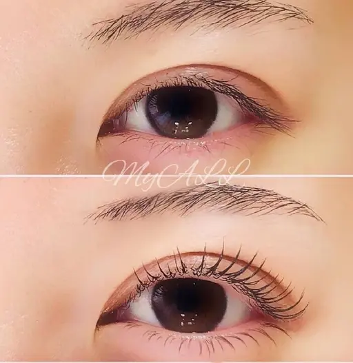 まつ毛パーマ(上のみ)