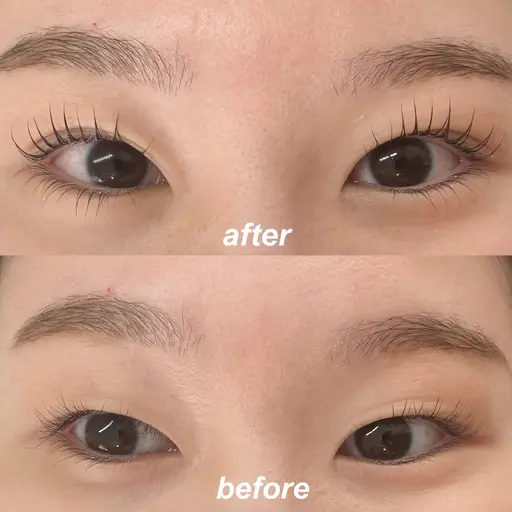 【期間限定】パリジェンヌラッシュリフト(上下)🦌✨