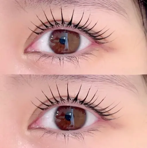 当日限定 🦋デザインラッシュリフト🦋【パリジェンヌも可🙆♀️】