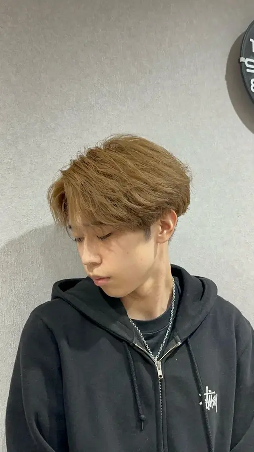 ワンカラー(カット無し)