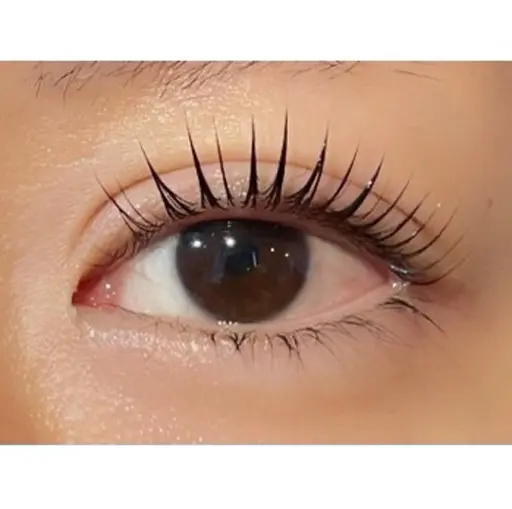 マスカラパーマ（ブラックティント）｡˚✩