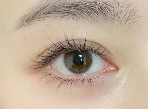 セーブル上付け放題(オフ+¥440)