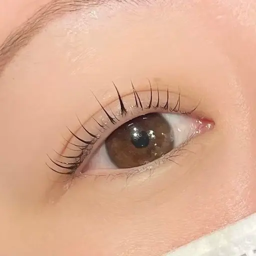 【12日・13日限定!!】まつ毛パーマ(コーティング付き)👀