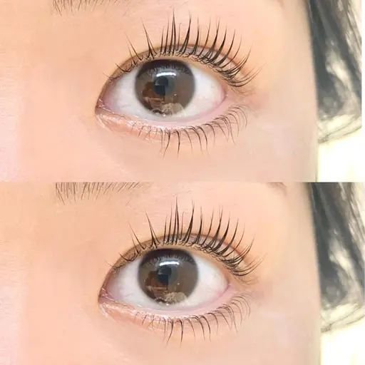 【担当yuina】ラッシュリフト上のみ《期間限定無料モデルメニュー》