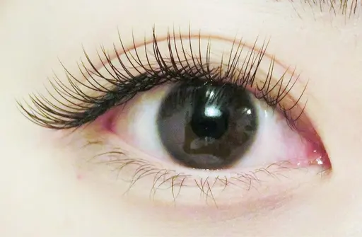 9日限定🧡フラットラッシュ×Lカール120本までオフ込✨モチUPコーティング付き