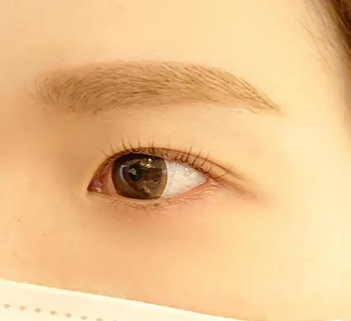 アイブロウ♡美眉スタイリング♡WAX脱毛(仕上げメイク付き⭕)