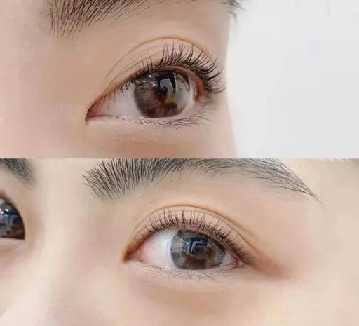 次世代まつげパーマラッシュリフト メーテル含む