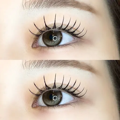 ✨【アンドヘルシー（マツエク×パーマ ）120本🇫🇷】束仕上げ✨