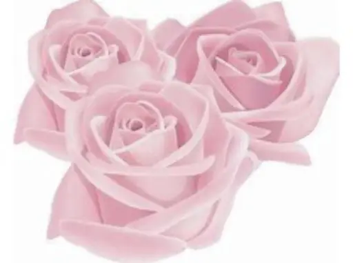 【女性】人気NO.1⭐全身美肌脱毛Aプレミアム保湿付(全身+顔全体+VIO)⭐¥8800