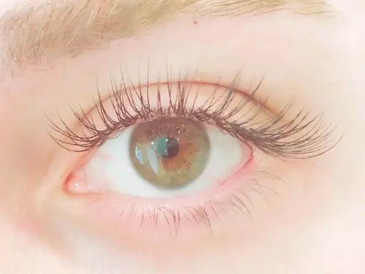 🌼マッフルラップ60束🌼