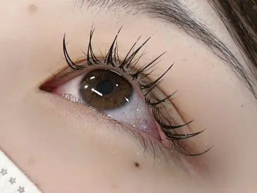 🌙LED ×フラットラッシュ 100本🌙*·̩͙詳細必ずお読みください