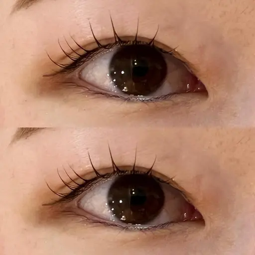 人気NO.2💛マツパ+アイブロウワックス(メイク無し)