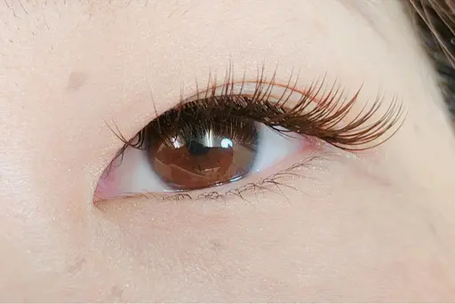 LED フラットラッシュ　120本