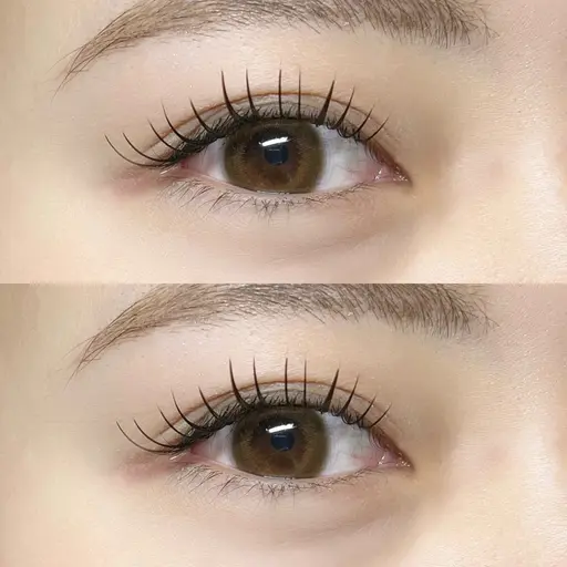 3/16限定💜フラットラッシュ【80~100本】