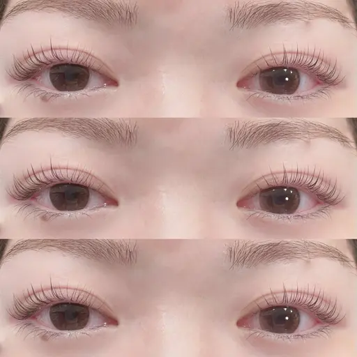 【当日限定】パリジェンヌラッシュリフト🩵4500円