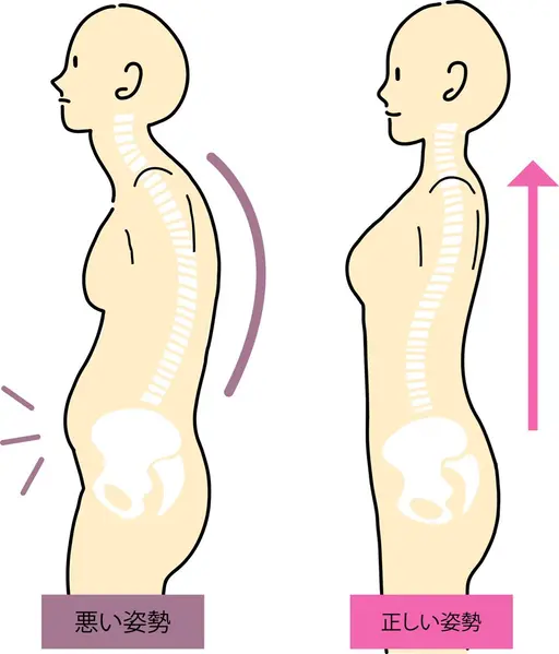 【猫背・ぽっこりお腹ケア】あなたに合った姿勢ケアで美しい体へ。姿勢が変わると5歳若返る✨『姿勢で人生、変わります❗️』