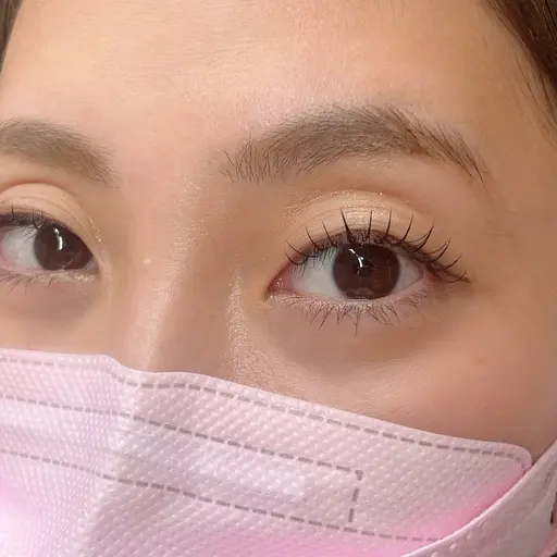 【minimo特別価格✨】フラットラッシュ80本¥4500🌼