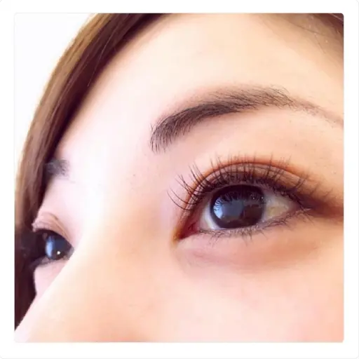 オフ有 バインドロック120束