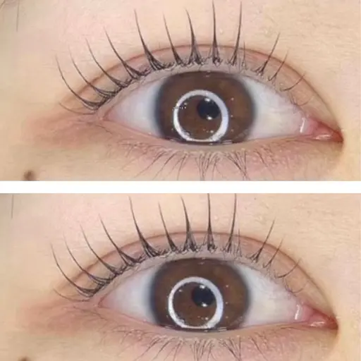 1月平日数量限定🧸🩷まつげパーマ☺️