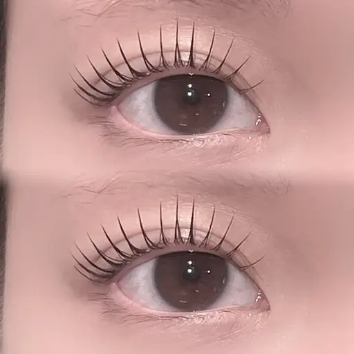 【🎄12月限定特別価格🎄】🔆パリジェンヌ or まつ毛パーマ (再来¥6,200)🔆