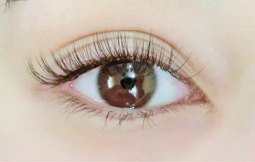 3Dボリュームラッシュ100束❣️他店オフ込☺️根本の濃さも出てアイライン効果あり✨✨