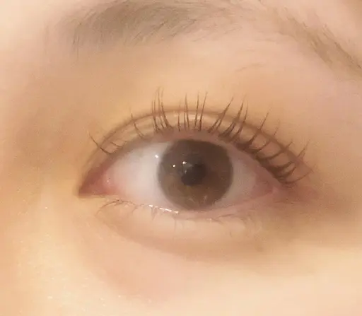 特別価格‼️パリジェンヌラッシュリフト3980円💕コーティング付き✨