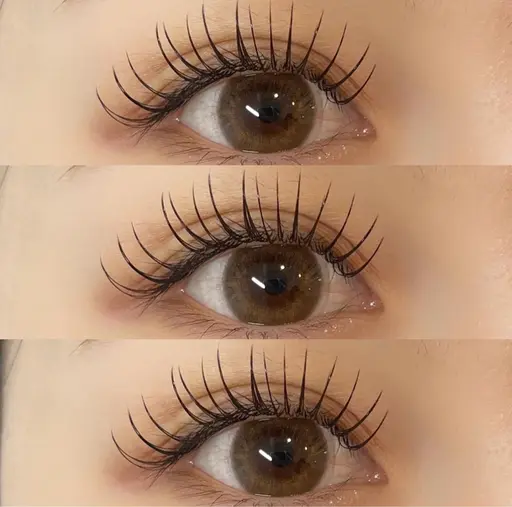 【3/26限定】フラットラッシュ100本