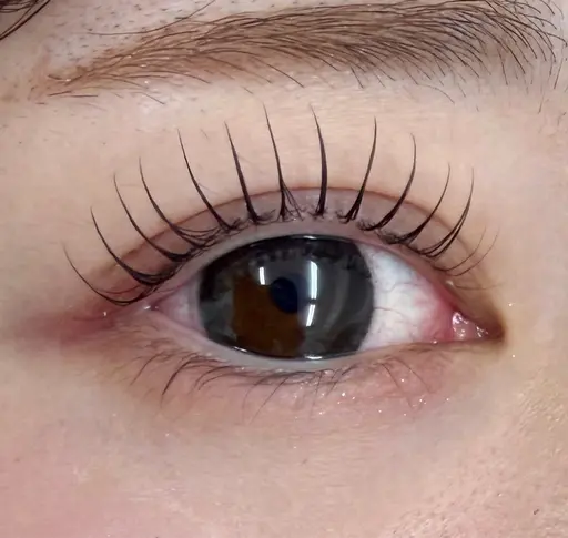 今週割引💫 Lash lift🫧 ¥7,700→¥3,000 ※写真撮影必須