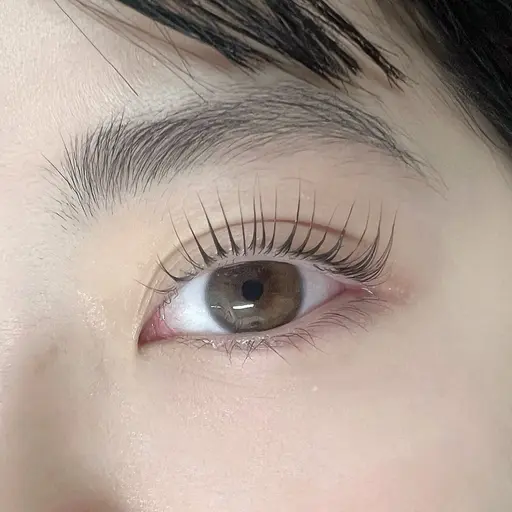 まつ毛パーマ　🎀