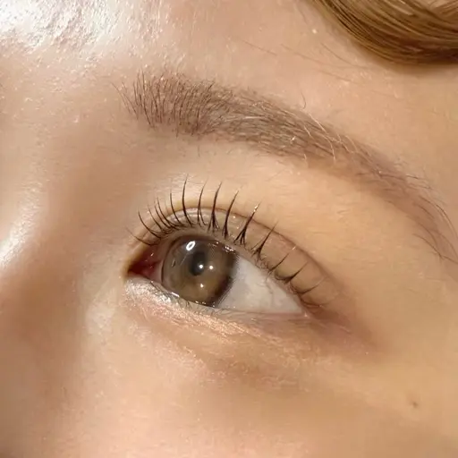 【12月26日ご来店限定】口コミ投稿がお約束　パリジェンヌラッシュリフト★60分