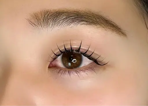 LEDマツエク無料練習モデルの募集🤍cカール60本🤍【1時間半】1/30 16時半※必ず注意事項をお読みください