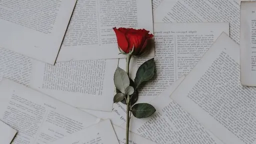 モニター限定🔶【レディース】ブラジリアンワックス(VIO)