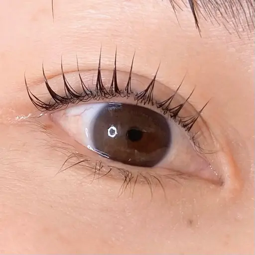 🌷12月限定🌷パリジェンヌラッシュリフト🌷