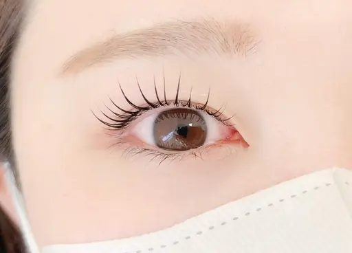 ‎🤍ラッシュリフト‎🤍