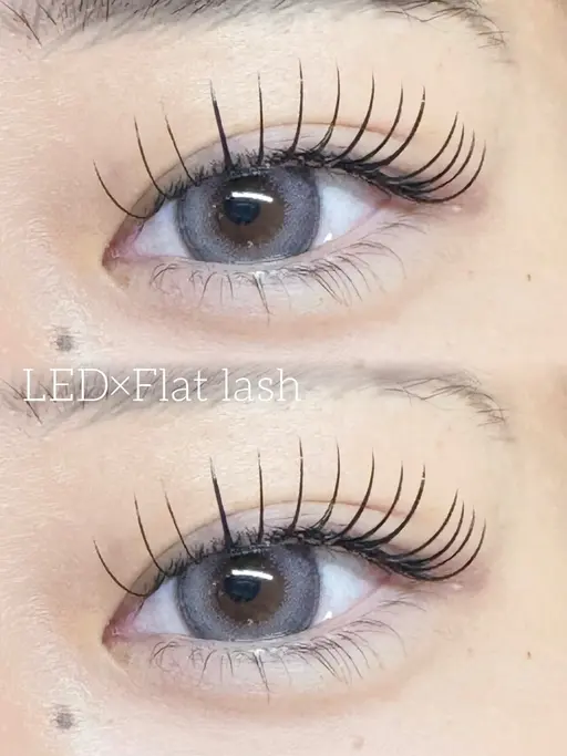 🍂1月限定🍂LEDフラットラッシュ120本　通常グルーオフ無料(LEDオフ+500円)