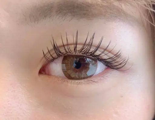 ❤️‍🔥超高級フラットラッシュ❤️‍🔥上100まで付け放題(オフ、コーティング込み)(ご新規様限定)