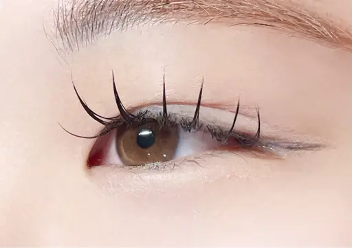 イベント前に可愛く💕🎄マツエク100本《最高級セーブル》