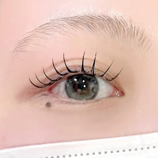 無料☆【モデル募集】上下パリジェンヌラッシュリフト/上下まつげパーマ🌟