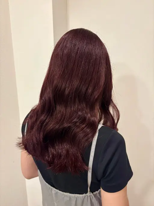 ｛🧺 限定価格🫖｝ブリーチなしワンカラー