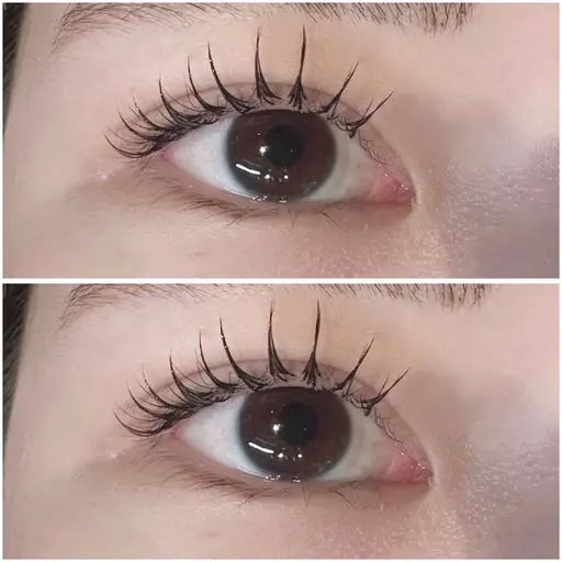 パリエク80本✨コーティング剤付き🫧オフなし